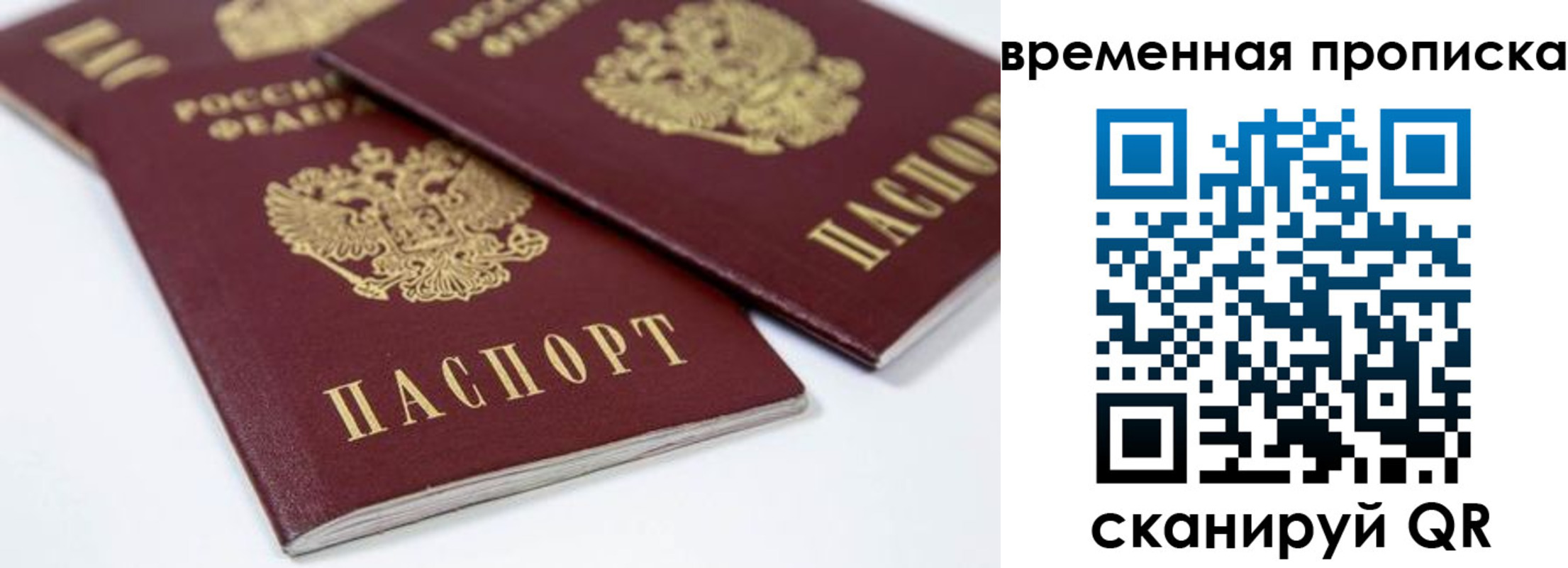 прописка для школы в Тынде